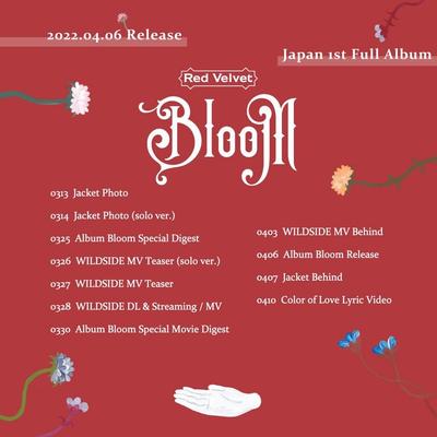 Red Velvet Umumkan Perilisan Album Jepang Bloom